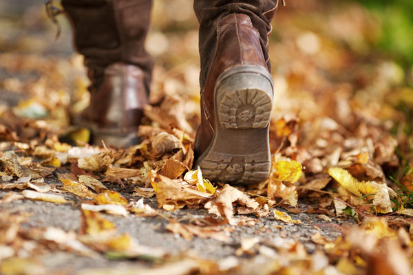 blaetter-wieder-hoeren_02 Herbstspaziergang durch Blätter